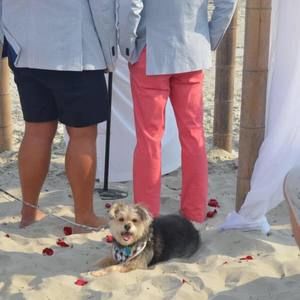 Meet your Posher, Brandon